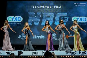 FIT-MODEL +164 ( 2 раунд )